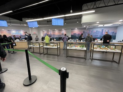 Curaleaf Dispensary Bellmawr