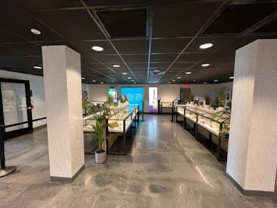 Curaleaf Dispensary Camelback