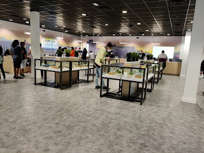 Curaleaf Dispensary Edgewater Park