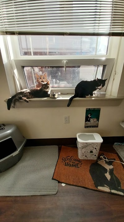 Curaleaf Dispensary Erie