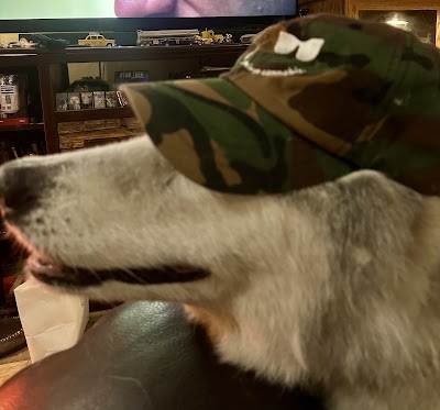 Curaleaf Dispensary Gainesville