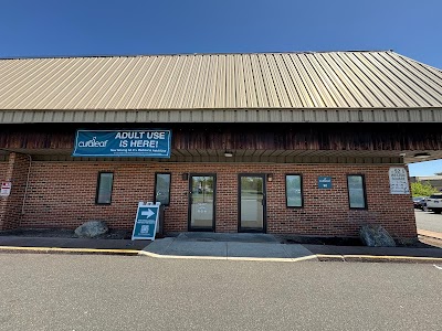 Curaleaf Dispensary Hartford