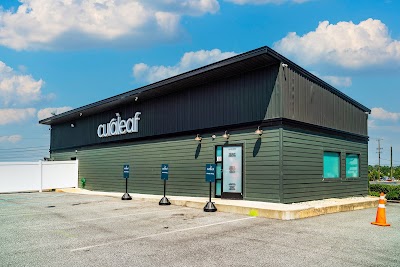 Curaleaf Dispensary King of Prussia