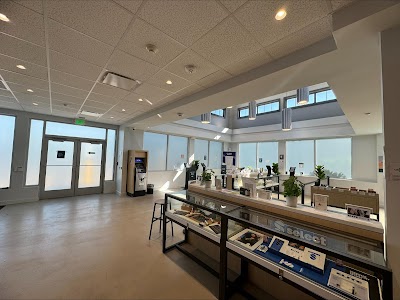 Curaleaf Dispensary Manchester