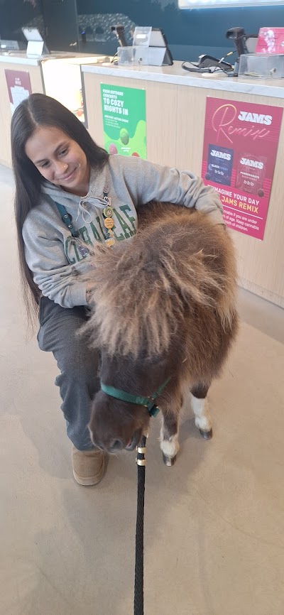 Curaleaf Dispensary Manchester