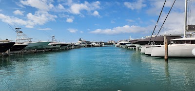 Curaleaf Dispensary Miami South Beach