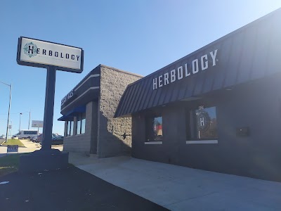 Curaleaf Dispensary Morton