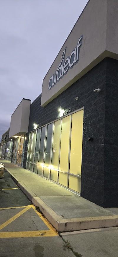 Curaleaf Dispensary Newark