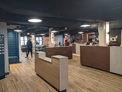 Curaleaf Dispensary on Weed Street, Chicago IL