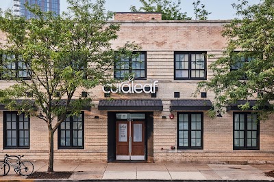 Curaleaf Dispensary on Weed Street, Chicago IL