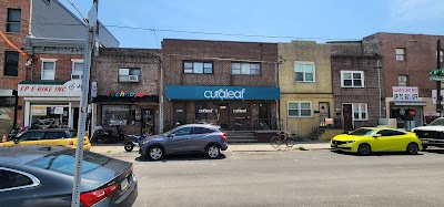 Curaleaf Dispensary Passyunk ave