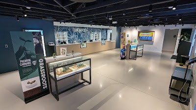 Curaleaf Dispensary Pensacola 9 Mile