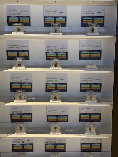 Curaleaf Dispensary Pensacola 9 Mile