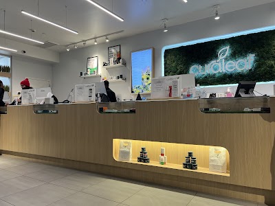 Curaleaf Dispensary Queens