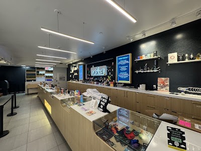 Curaleaf Dispensary Queens