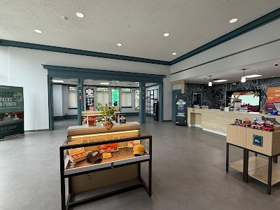 Curaleaf Dispensary Rochester