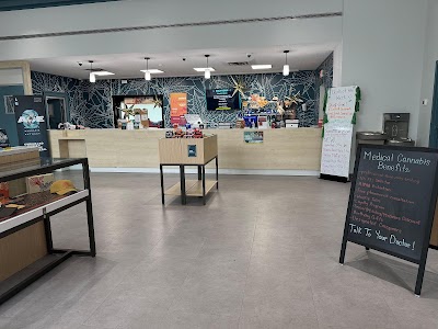 Curaleaf Dispensary Rochester