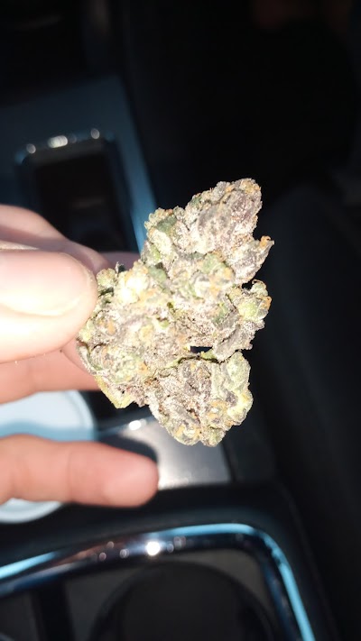 Curaleaf Dispensary Sanford