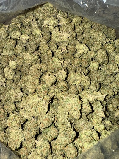 Curaleaf Dispensary Sarasota University