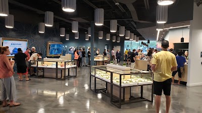 Curaleaf Dispensary Scottsdale