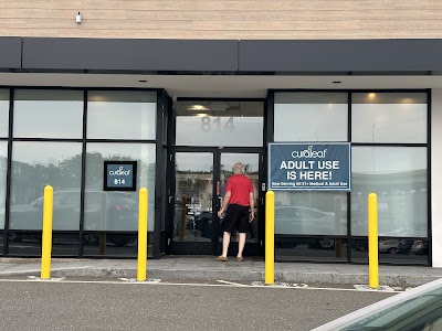 Curaleaf Dispensary Stamford