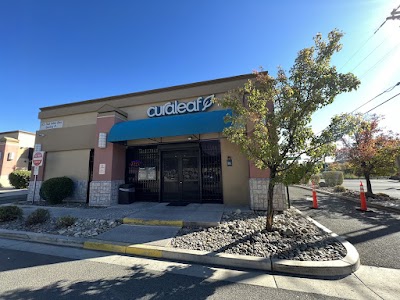 Curaleaf Dispensary Sun Valley