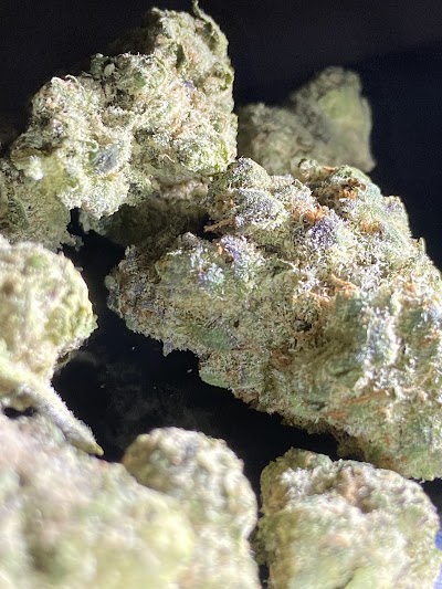 Curaleaf Dispensary Tampa Citrus Park