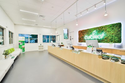 Curaleaf Dispensary Tampa