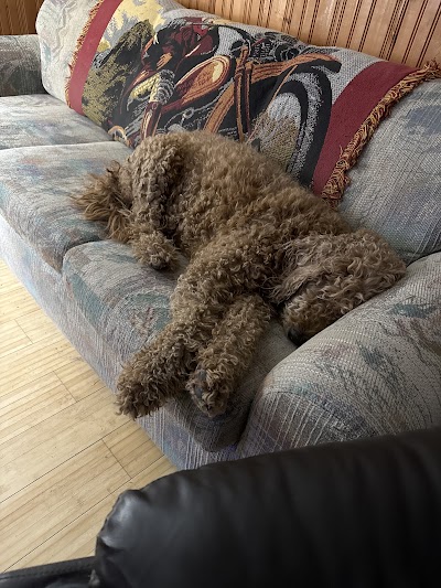 Curaleaf Dispensary Tucson Oracle