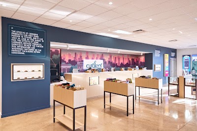 Curaleaf IL New Lenox