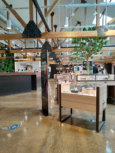 Curaleaf IL Northbrook Dispensary