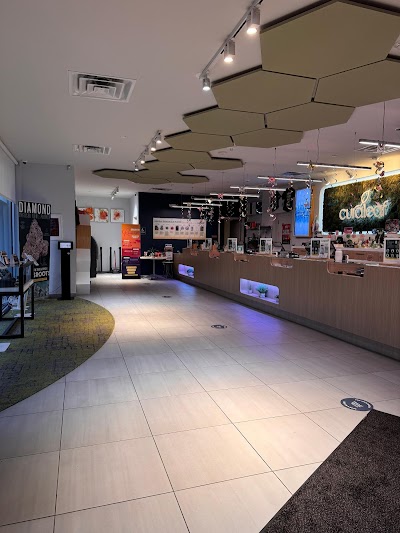 Curaleaf Medical Dispensary Carle Place