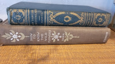 Curaleaf ND Jamestown