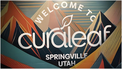 Curaleaf Springville