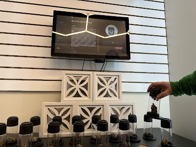 Dames Cannabis Dispensary