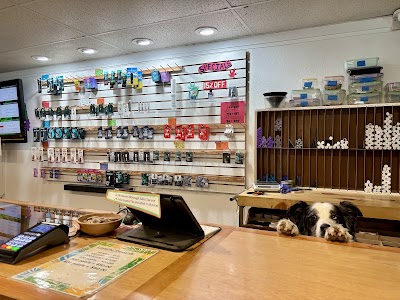 Dandelion Dispensary