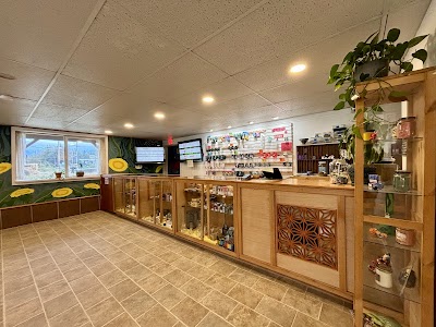 Dandelion Dispensary