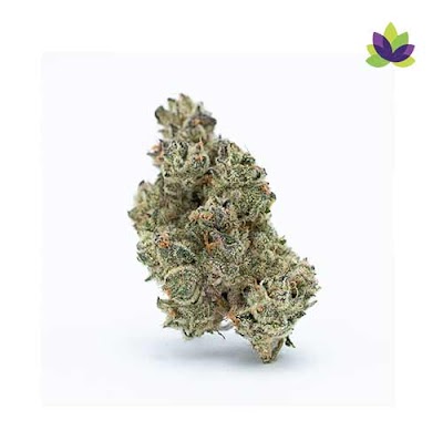 Dank City Delivery - Weed Delivery