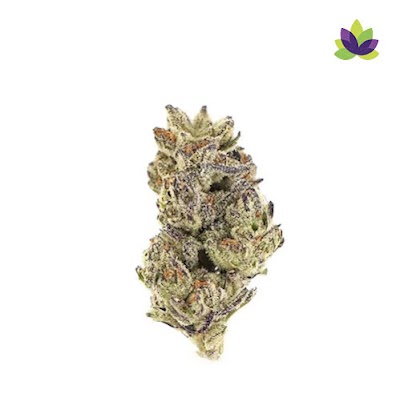 Dank City Delivery - Weed Delivery