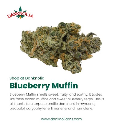 Danknolia Cannabis Dispensary LLC