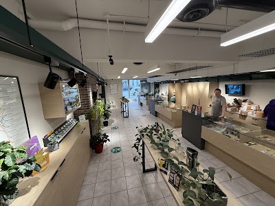Dazed Cannabis Store Kamloops