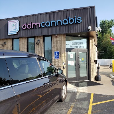 DDM Cannabis | Blackstone, MA Dispensary