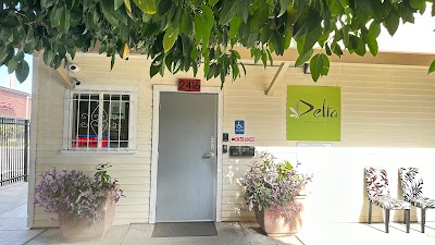 Delta Health & Wellness