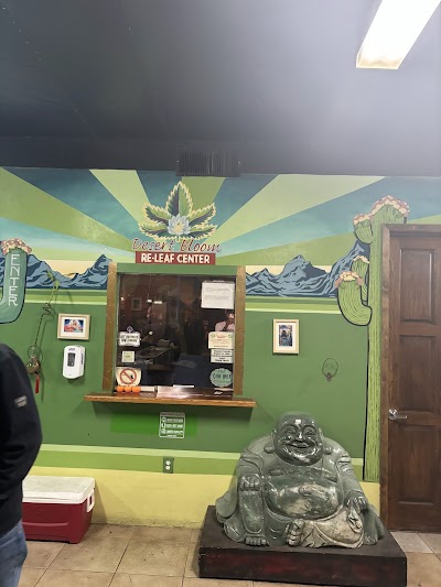 Desert Bloom Re-Leaf Center