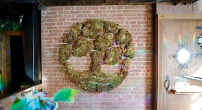 Devine Cannabis Dispensary