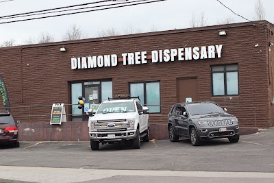Diamond Tree Dispensary
