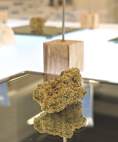 Diem Cannabis Dispensary Worcester