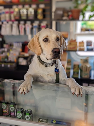 Discovery Bay Cannabis