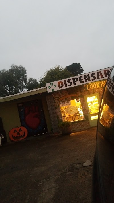 Discovery Cannabis Waldport