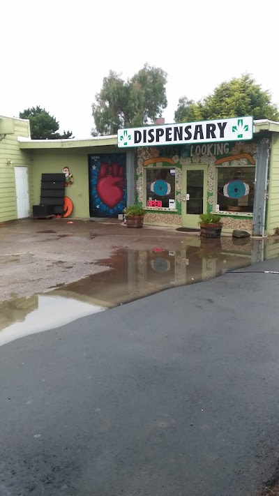 Discovery Cannabis Waldport